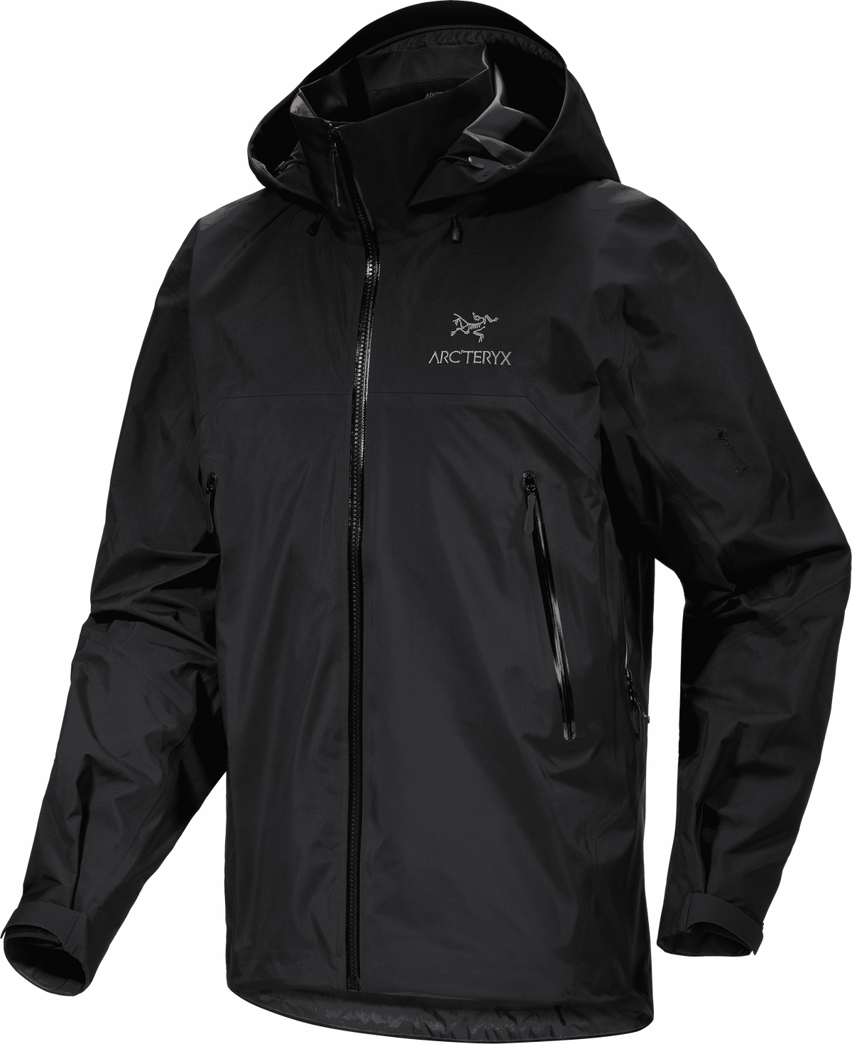 Arc'teryx Men's Beta AR Jacket - Winter 2024/2025