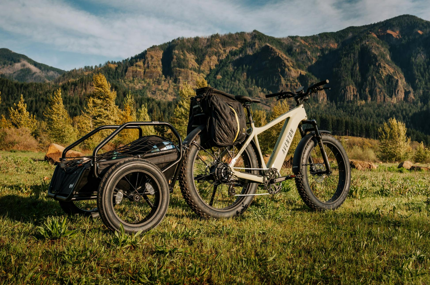 Aventon Adventure 3 Ebike (Large) - Summer 2026