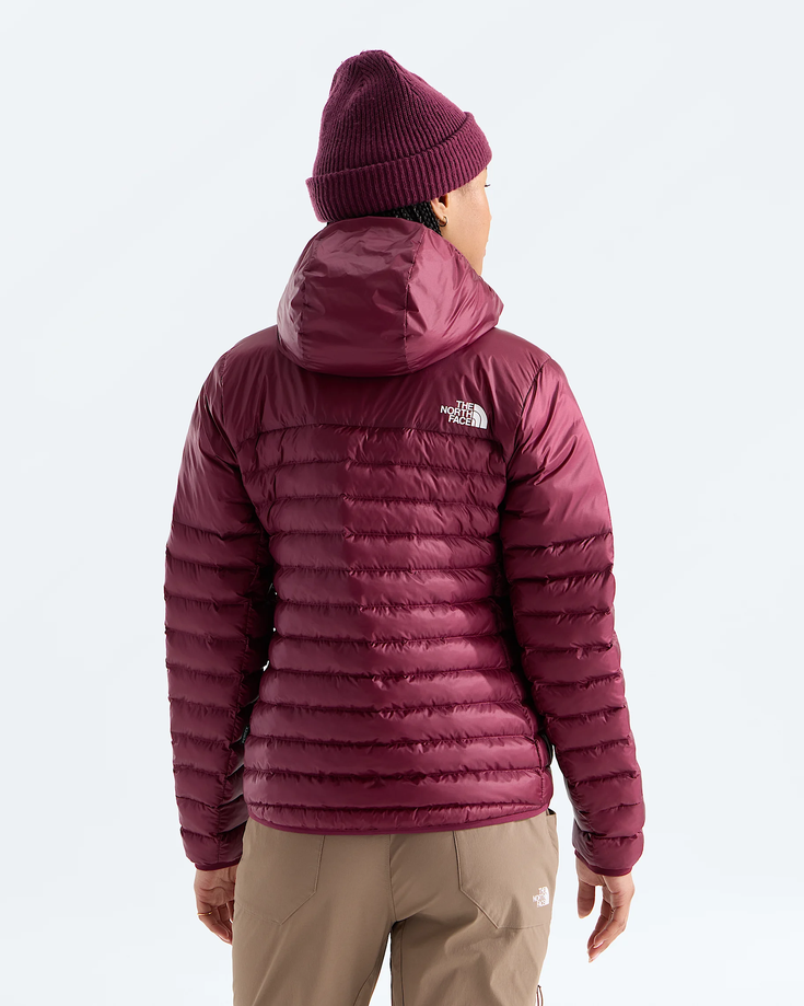 North Face Women's Terra Peak Hoodie - Winter 2026/2027