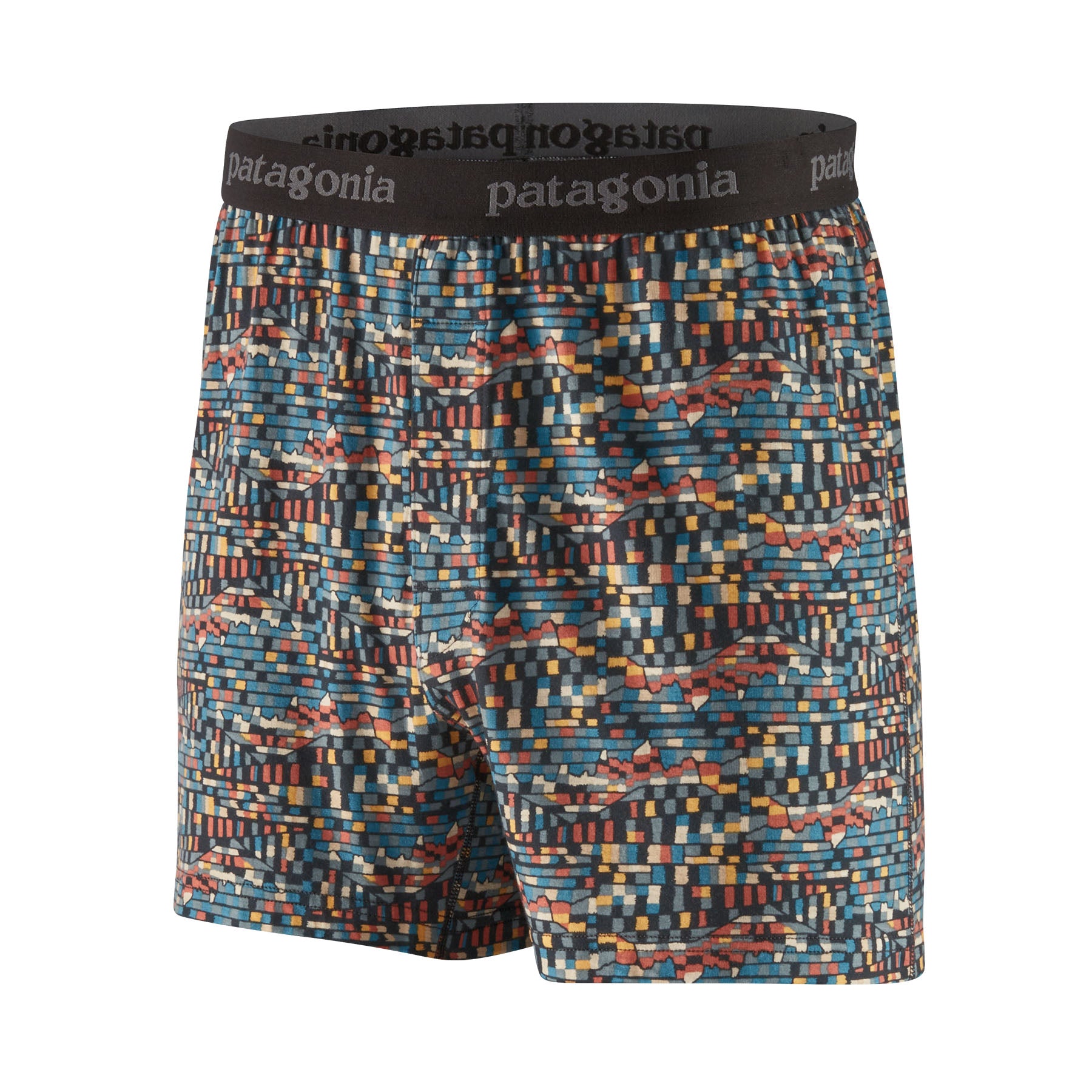 Patagonia Men's Essential Boxers - Fall 2023