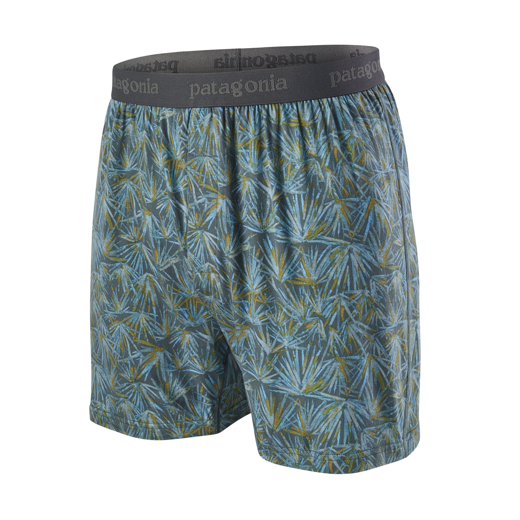 Patagonia Men's Essential Boxers - Fall 2023
