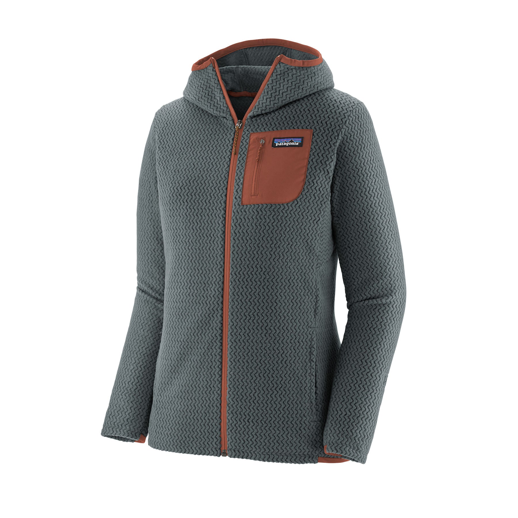 Patagonia Women's R1® Air Full-Zip Hoody - Fall 2023