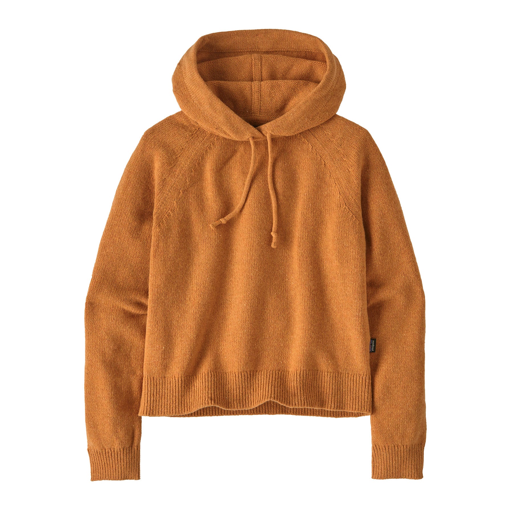 Patagonia  Women's Recycled Wool-Blend Hooded Pullover Sweater - Fall 2023