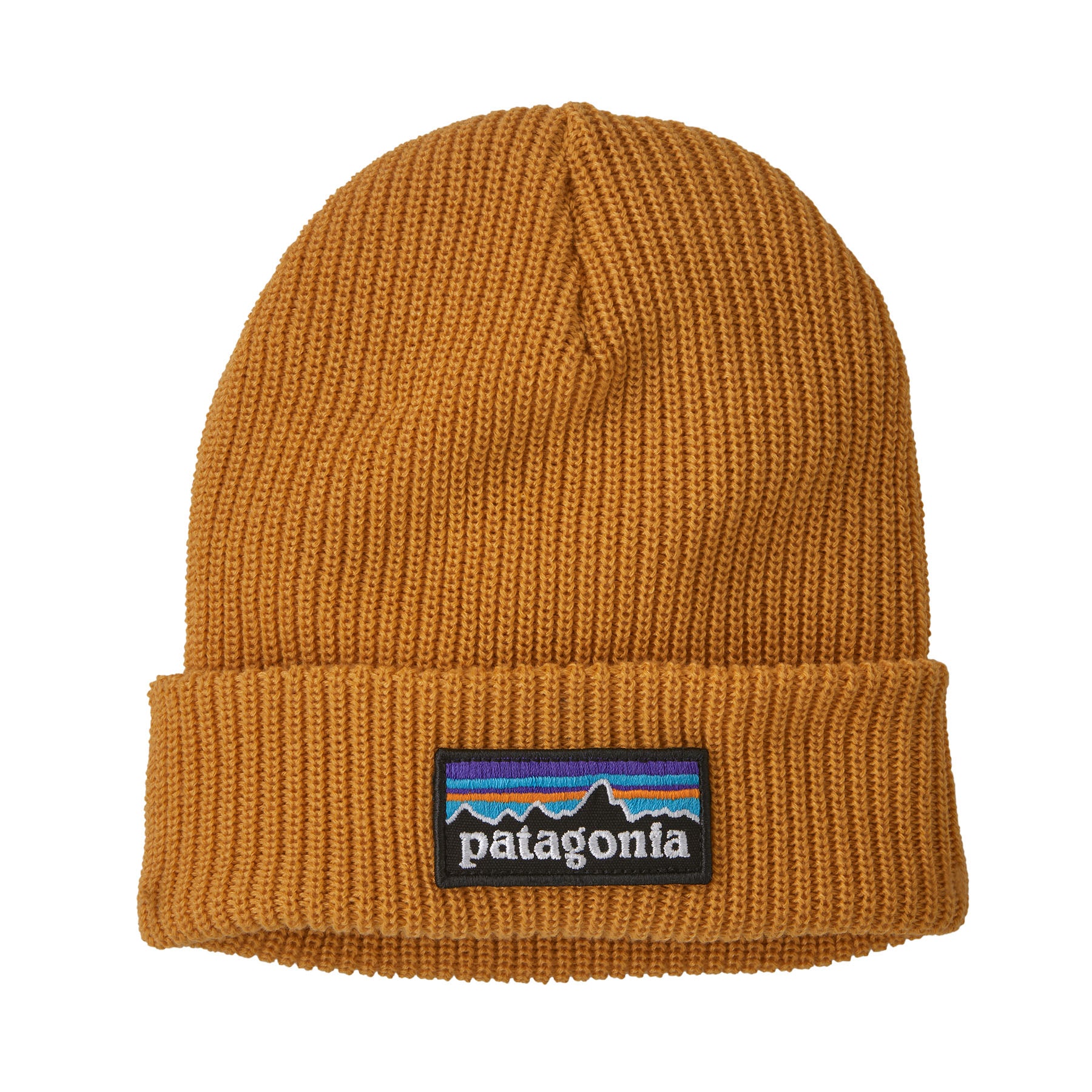 Patagonia Kids' Logo Beanie - Fall 2023