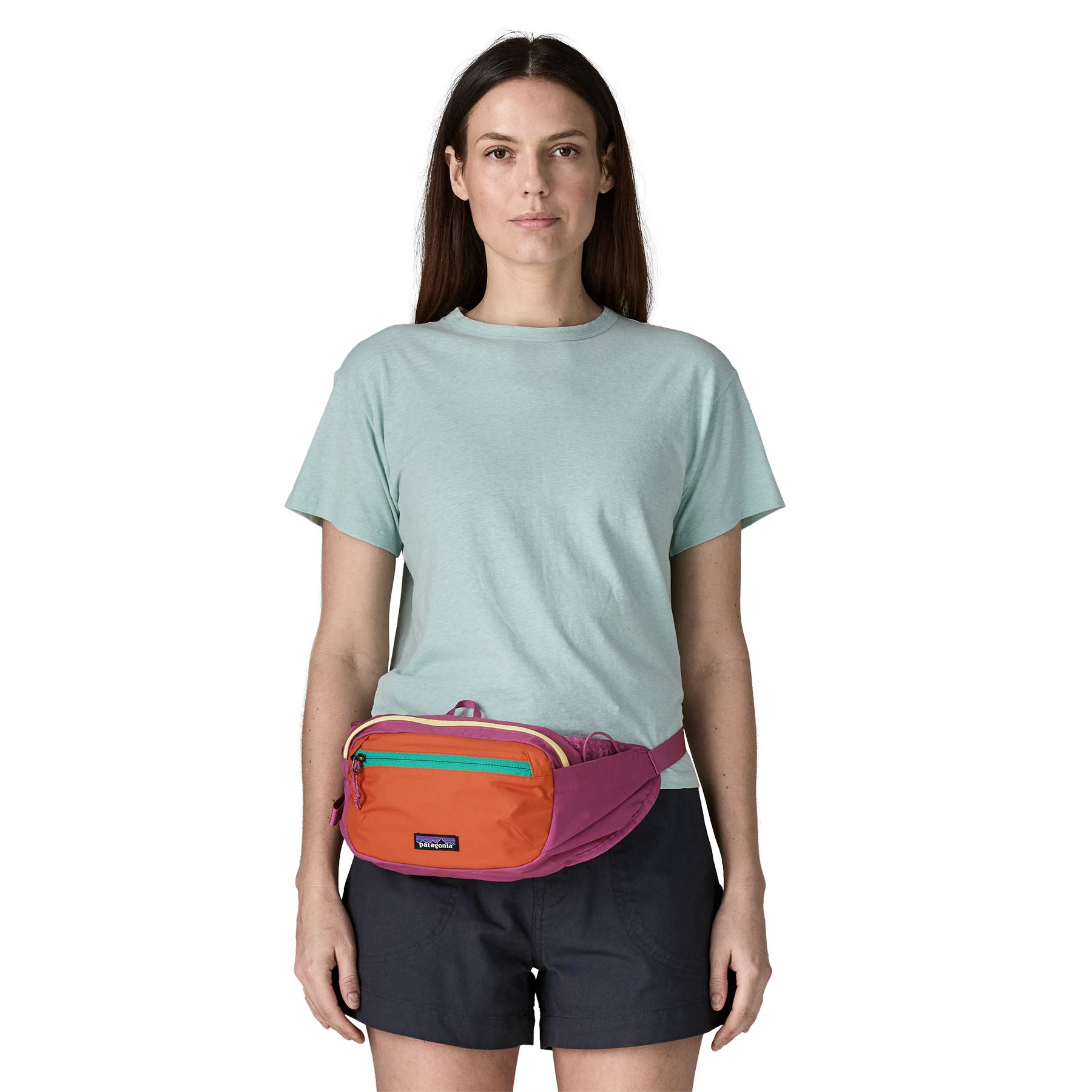 Patagonia Terravia Hip Pack 4L - Spring 2026