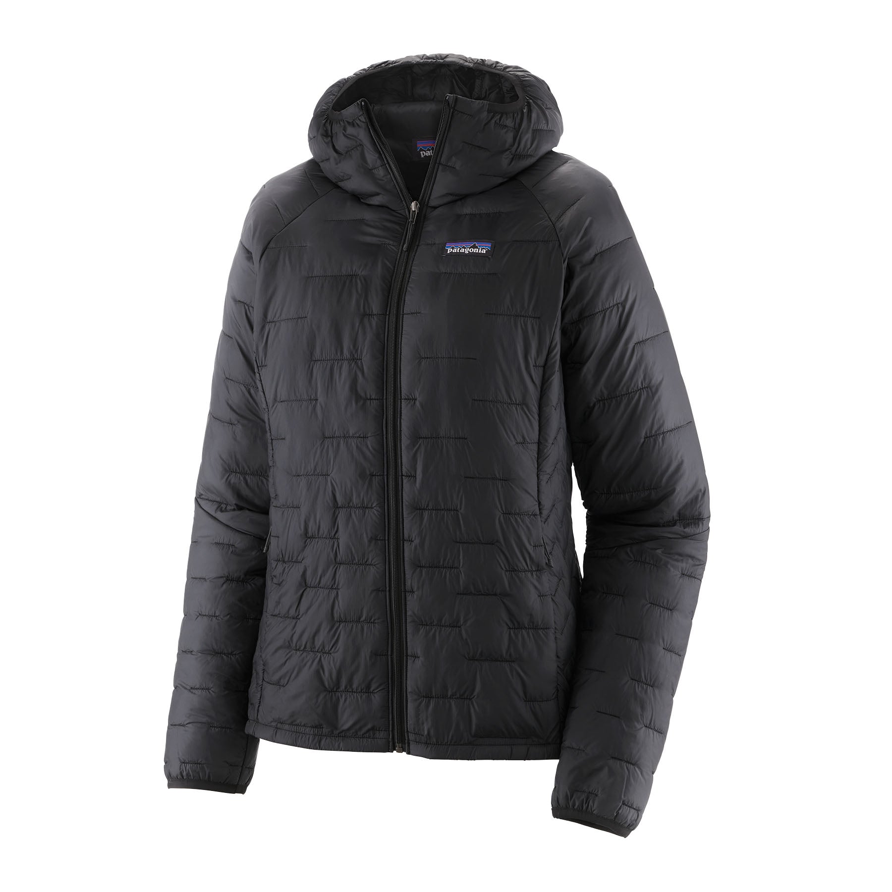 Patagonia Women's Micro Puff Hoody - Fall 2022