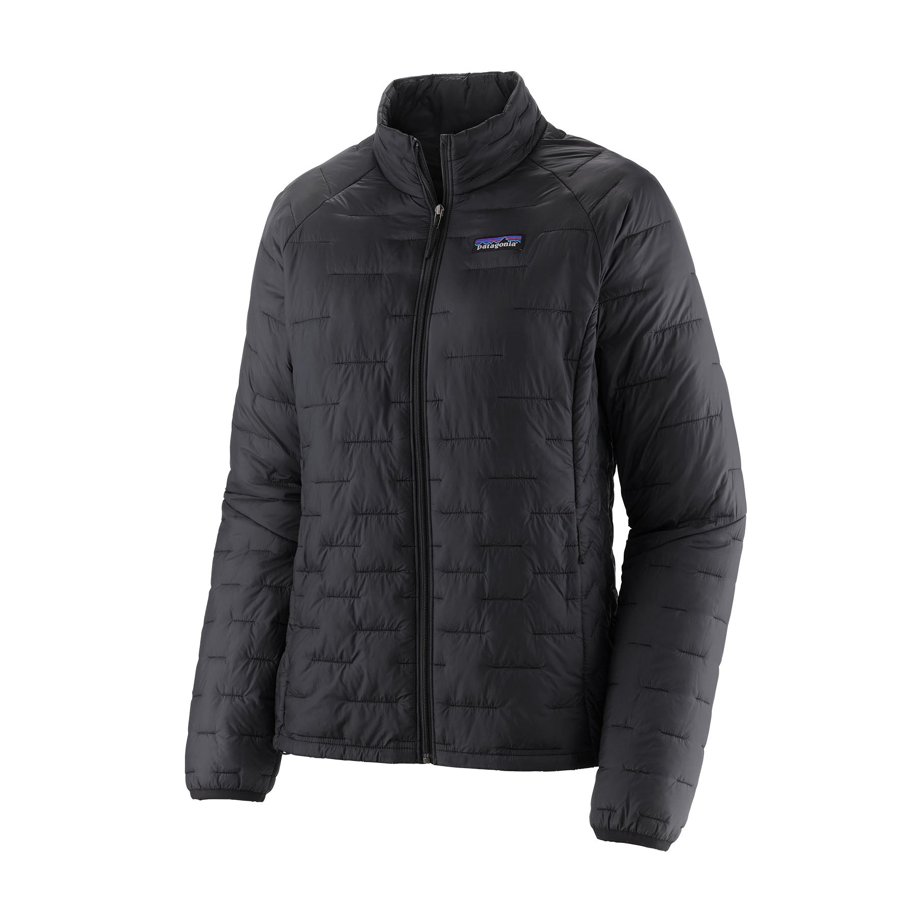 Patagonia Women's Micro Puff Jacket - Fall 2022